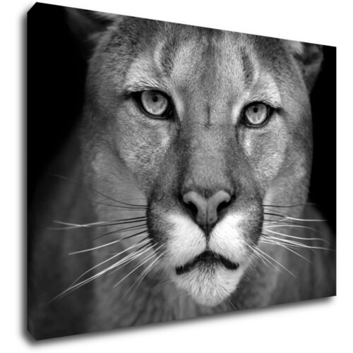 Bild Beast - 70 x 50 cm