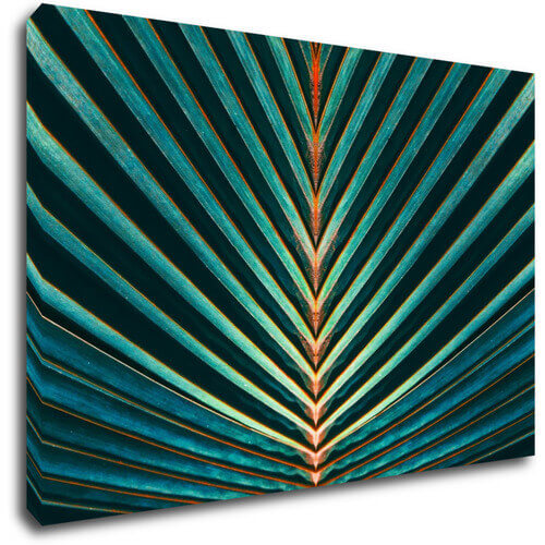Bild Palm leaf