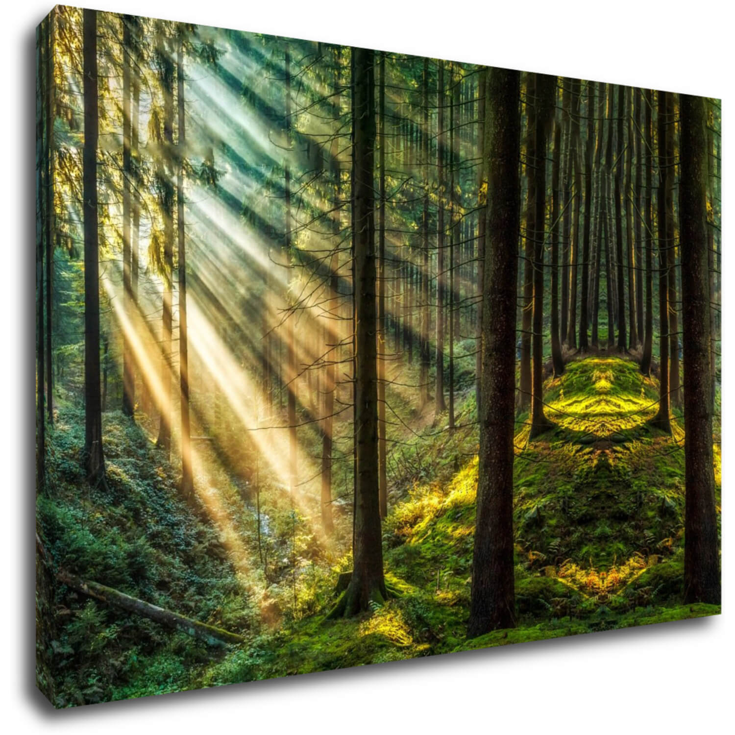 Bild Beautiful forest - 90 x 60 cm