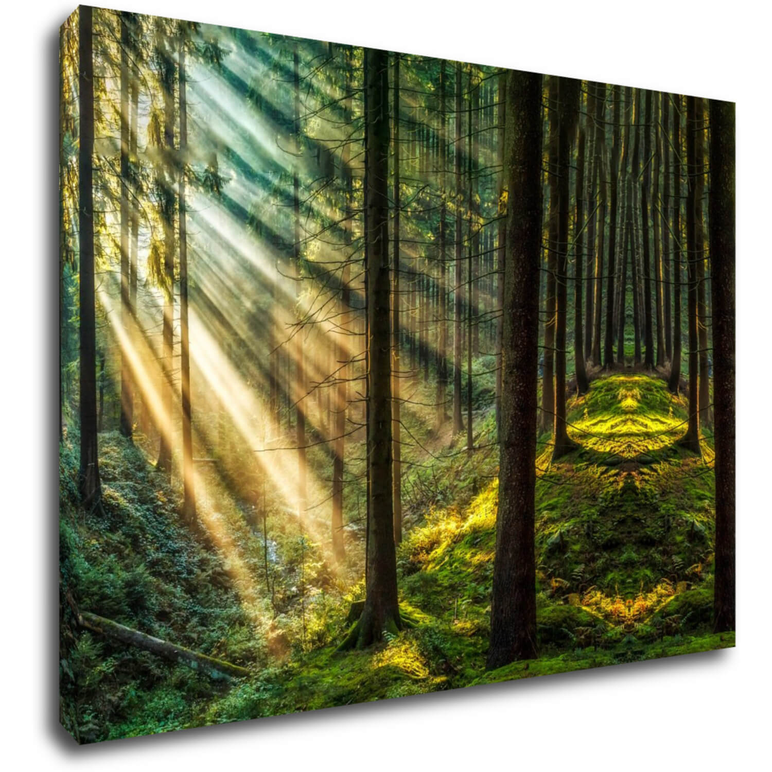 Bild Beautiful forest - 70 x 50 cm