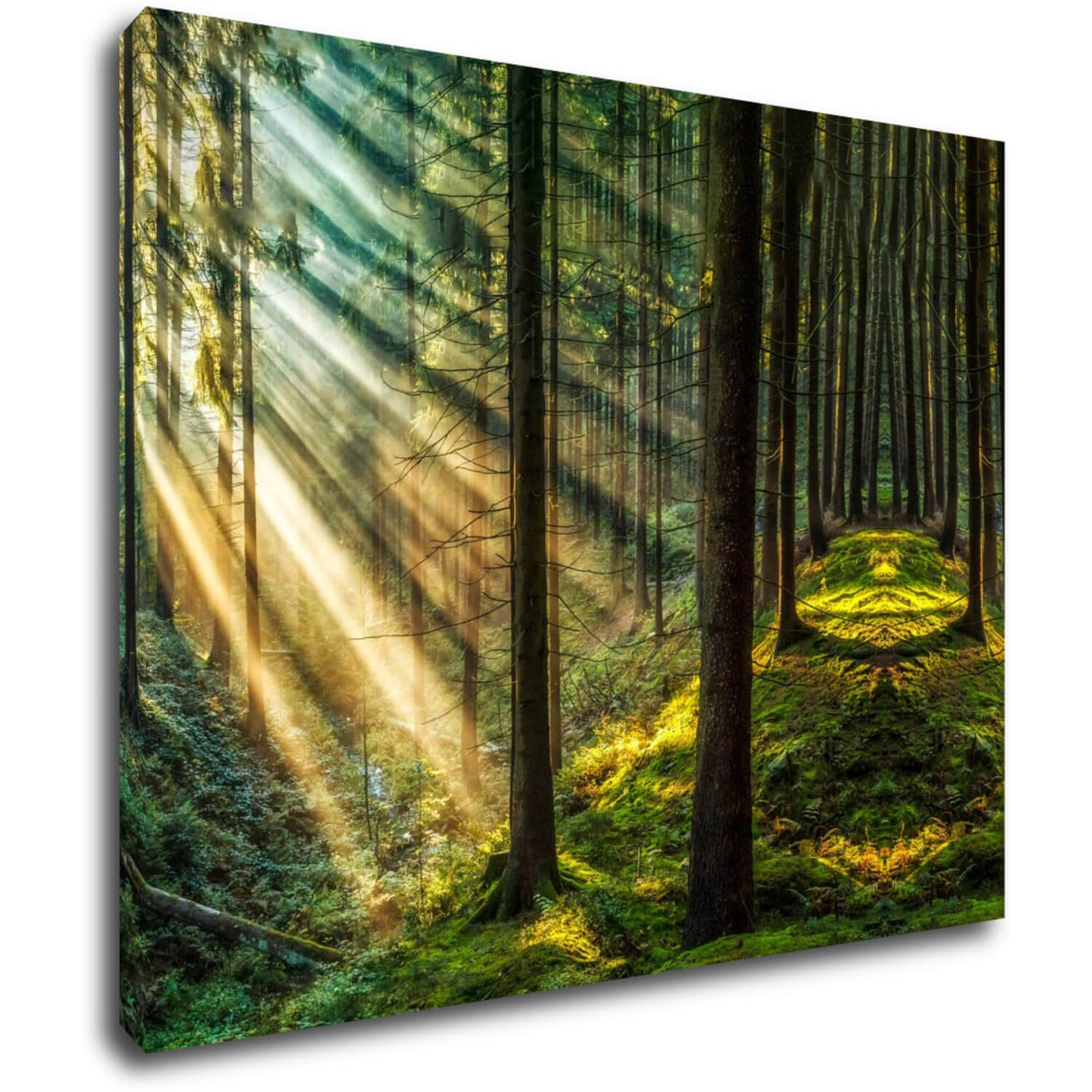 Bild Beautiful forest - 90 x 70 cm
