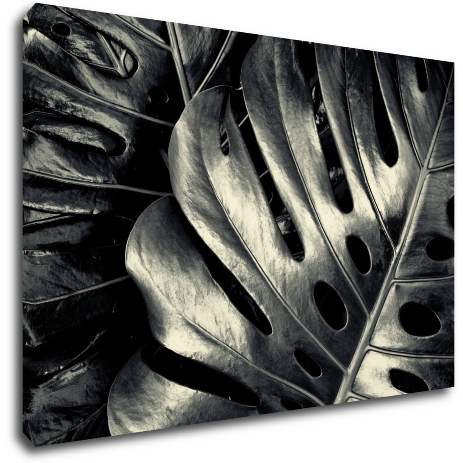 Bild Black and white leafs - 60 x 40 cm