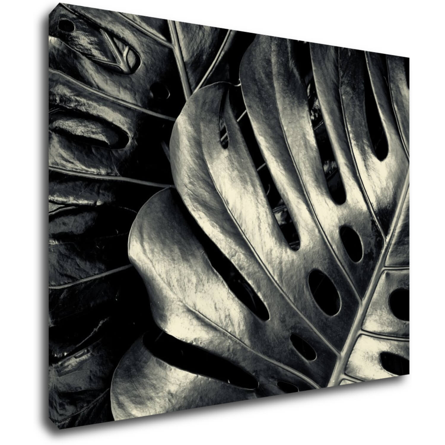 Bild Black and white leafs - 90 x 70 cm