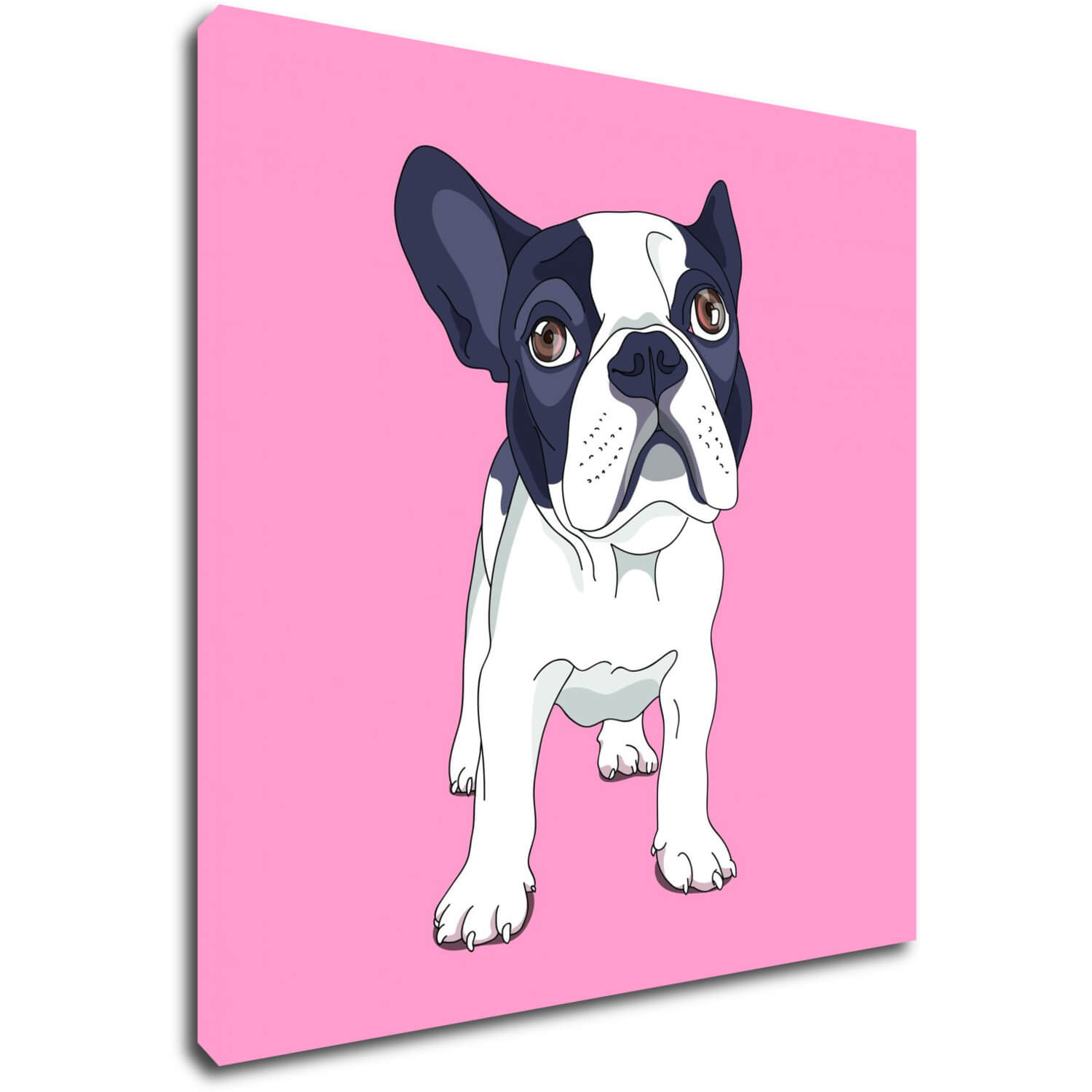 Bild Frenchie pink background - 50 x 50 cm