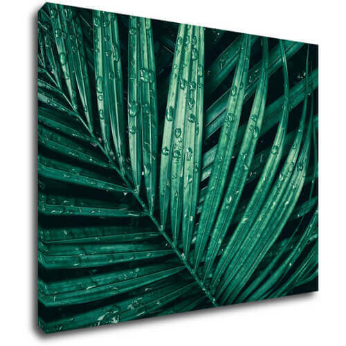 Bild Green leaf with drops of water - 90 x 70 cm