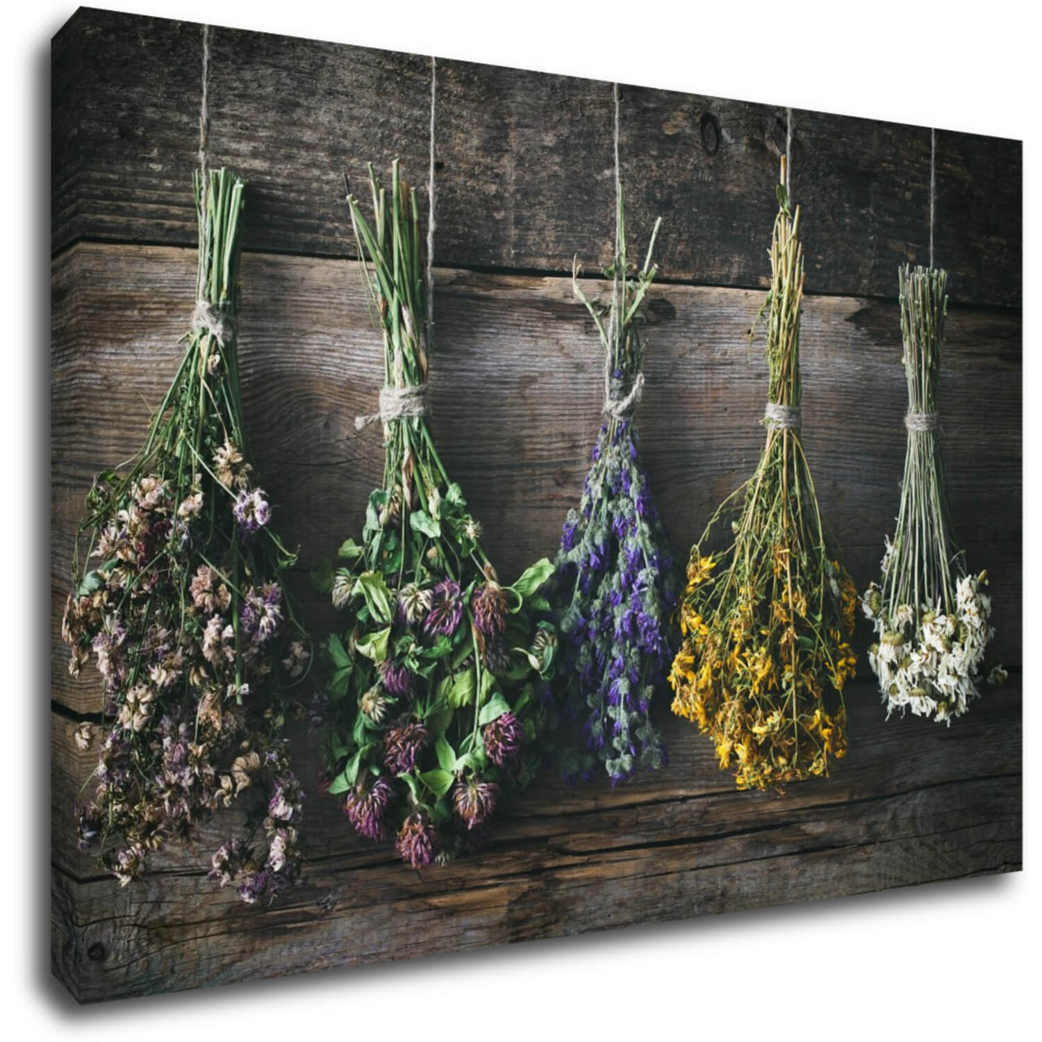 Bild Dry flowers - 90 x 60 cm