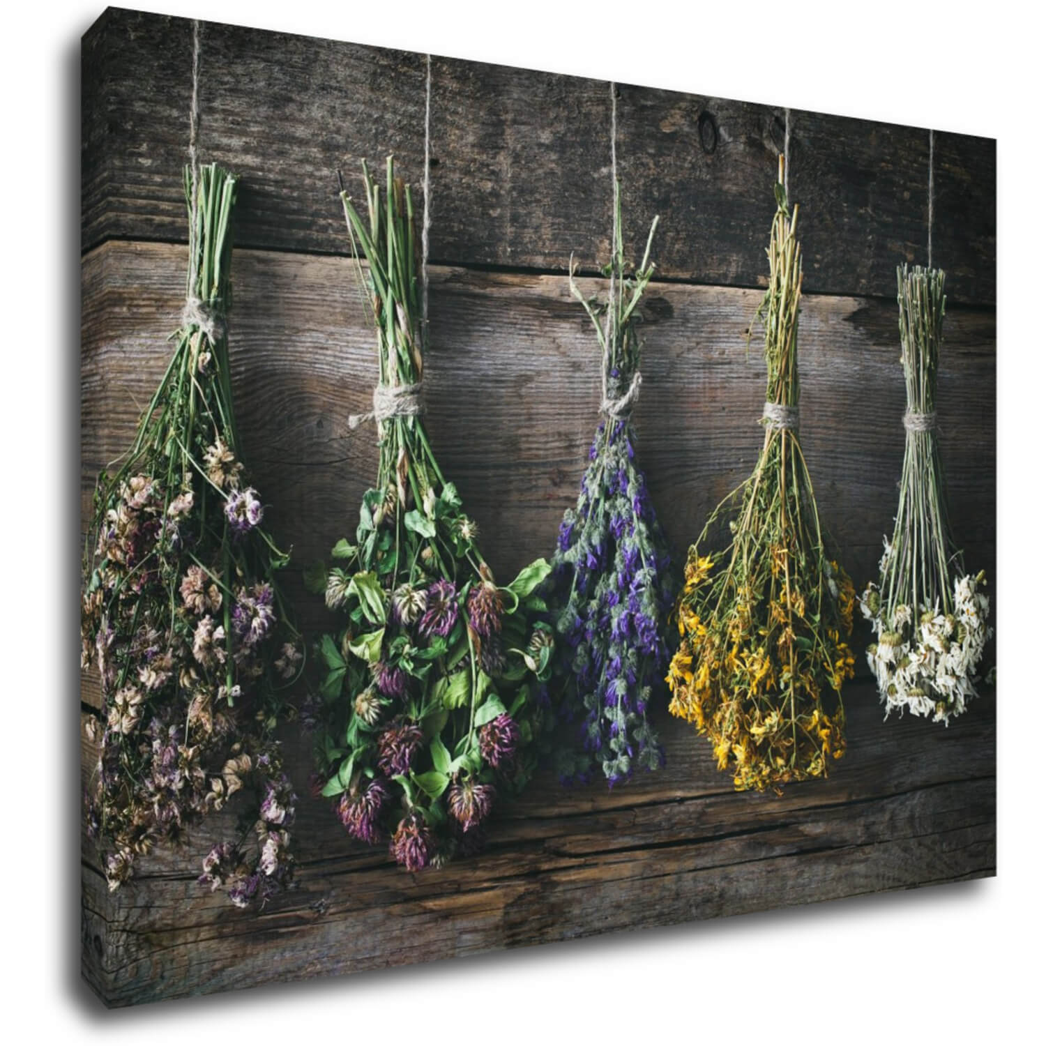 Bild Dry flowers - 70 x 50 cm