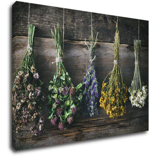 Bild Dry flowers - 70 x 50 cm