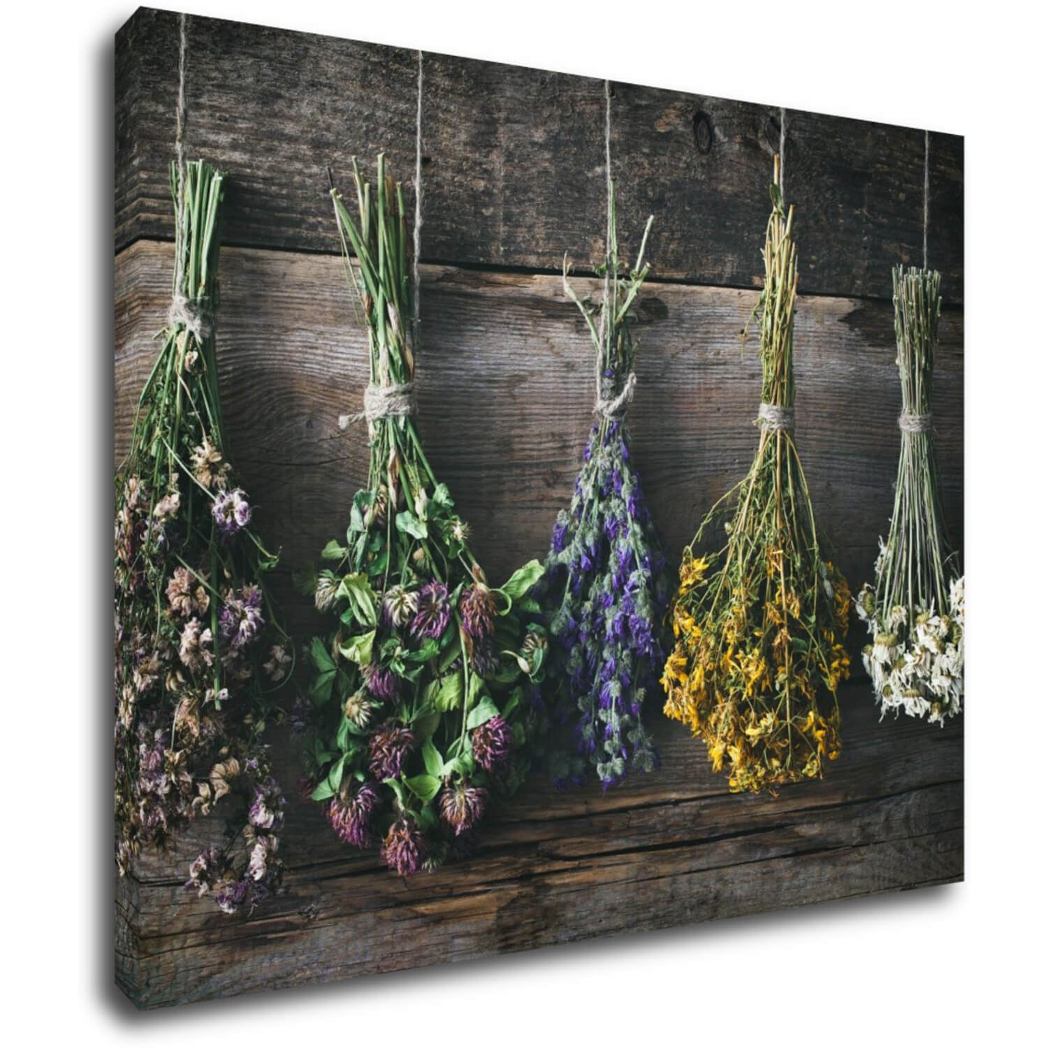 Bild Dry flowers - 90 x 70 cm