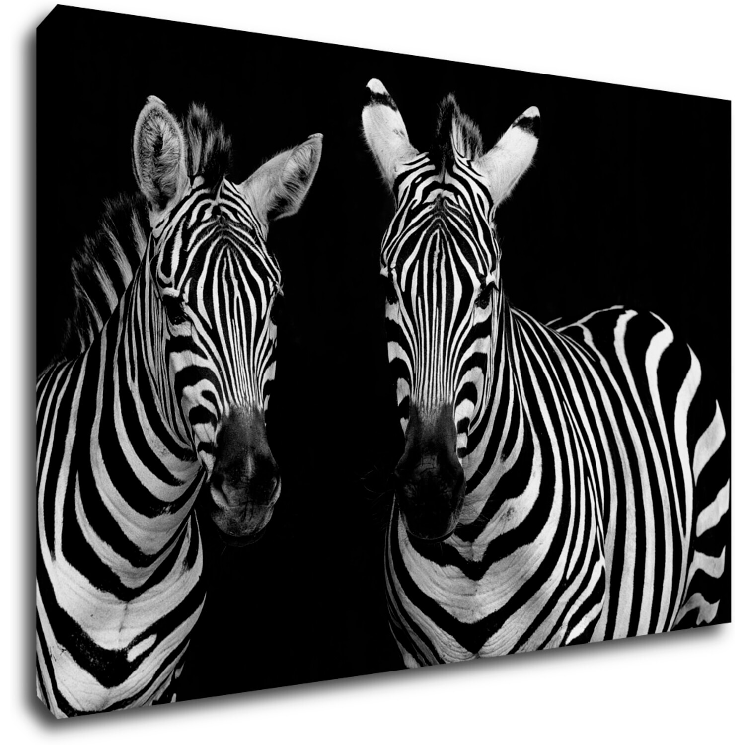 Bild Duo zebras black and white - 60 x 40 cm