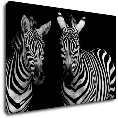 Bild Duo zebras black and white - 60 x 40 cm