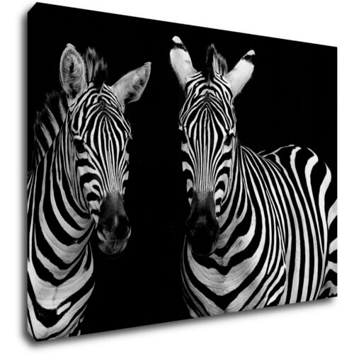Bild Duo zebras black and white - 70 x 50 cm