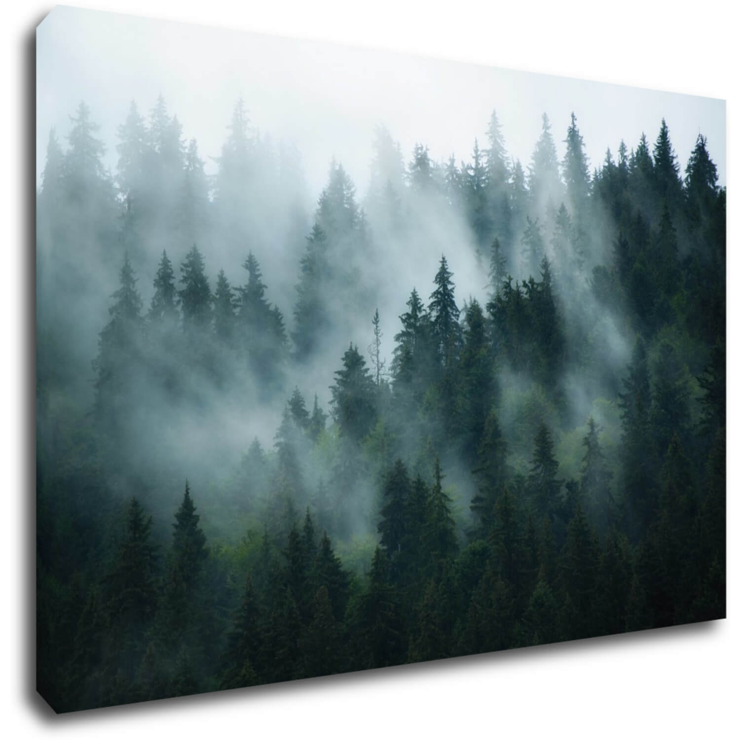 Bild Fogy forest - 90 x 60 cm