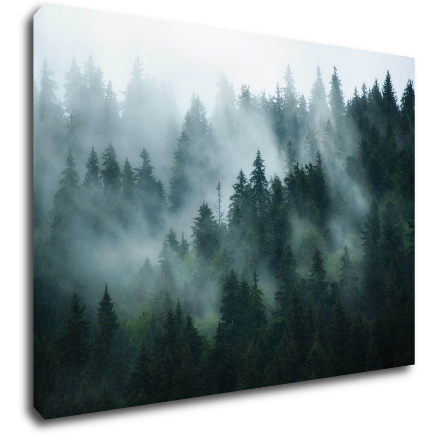 Bild Fogy forest - 70 x 50 cm