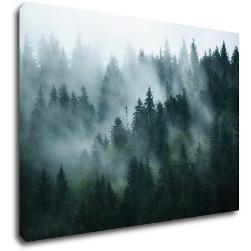 Bild Fogy forest - 70 x 50 cm