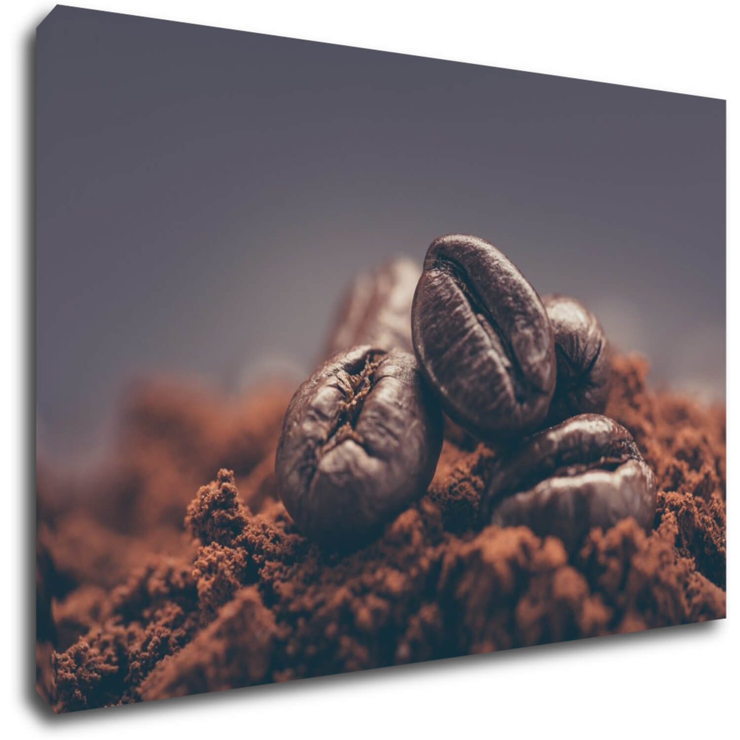 Bild Coffee Beans - 60 x 40 cm