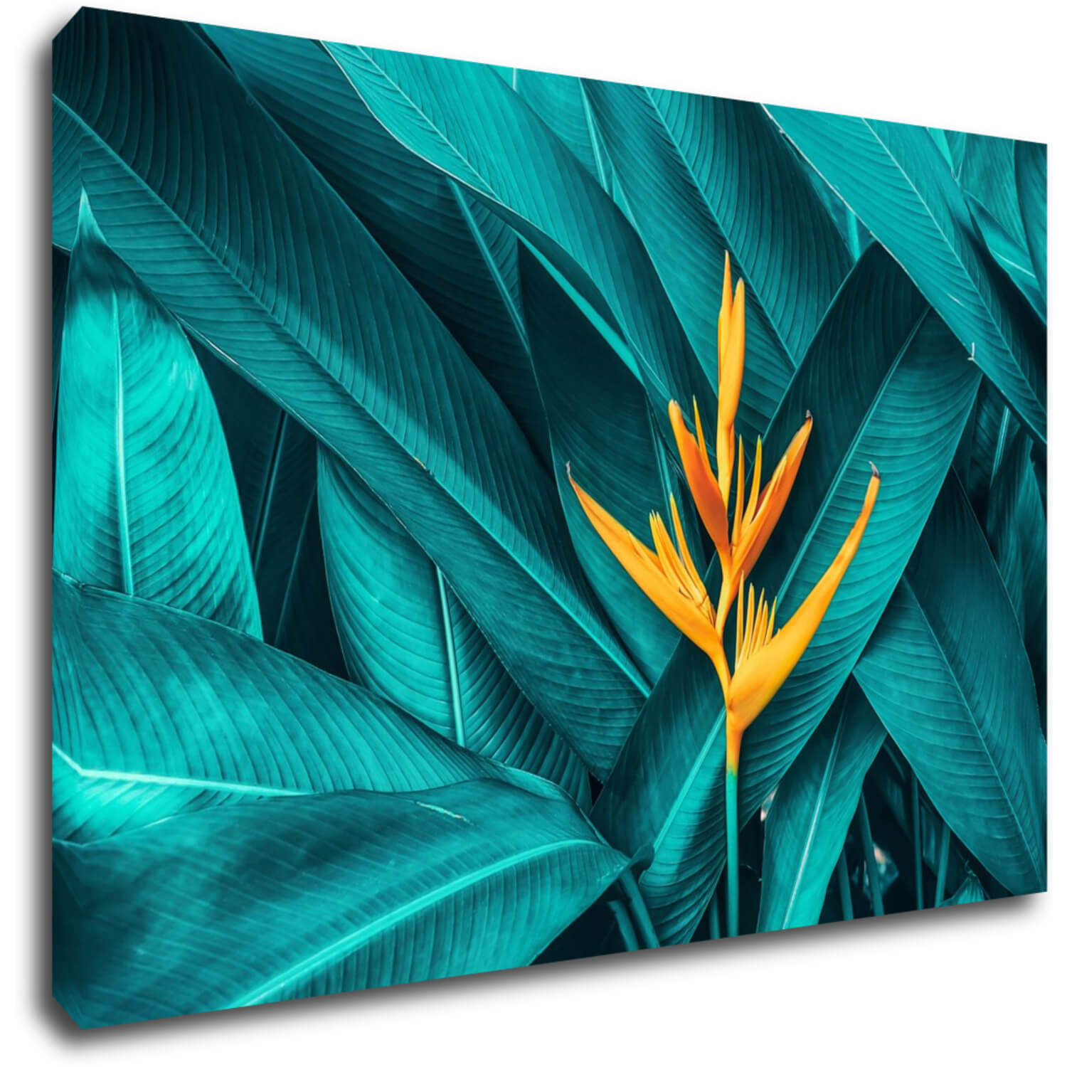 Bild Orange blossom - 90 x 60 cm