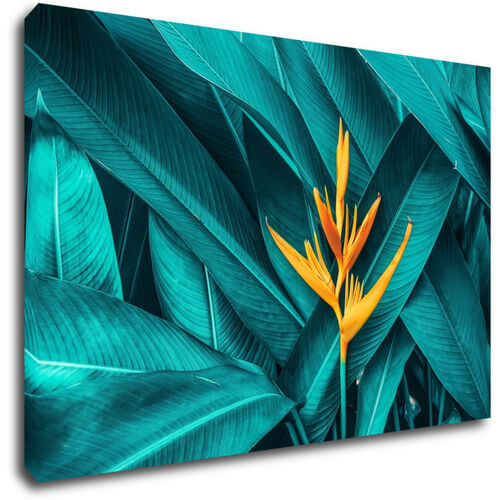 Bild Orange blossom - 90 x 60 cm