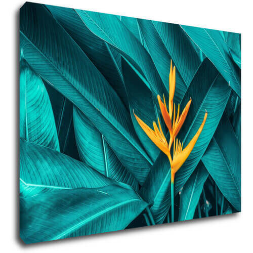 Bild Orange blossom - 70 x 50 cm