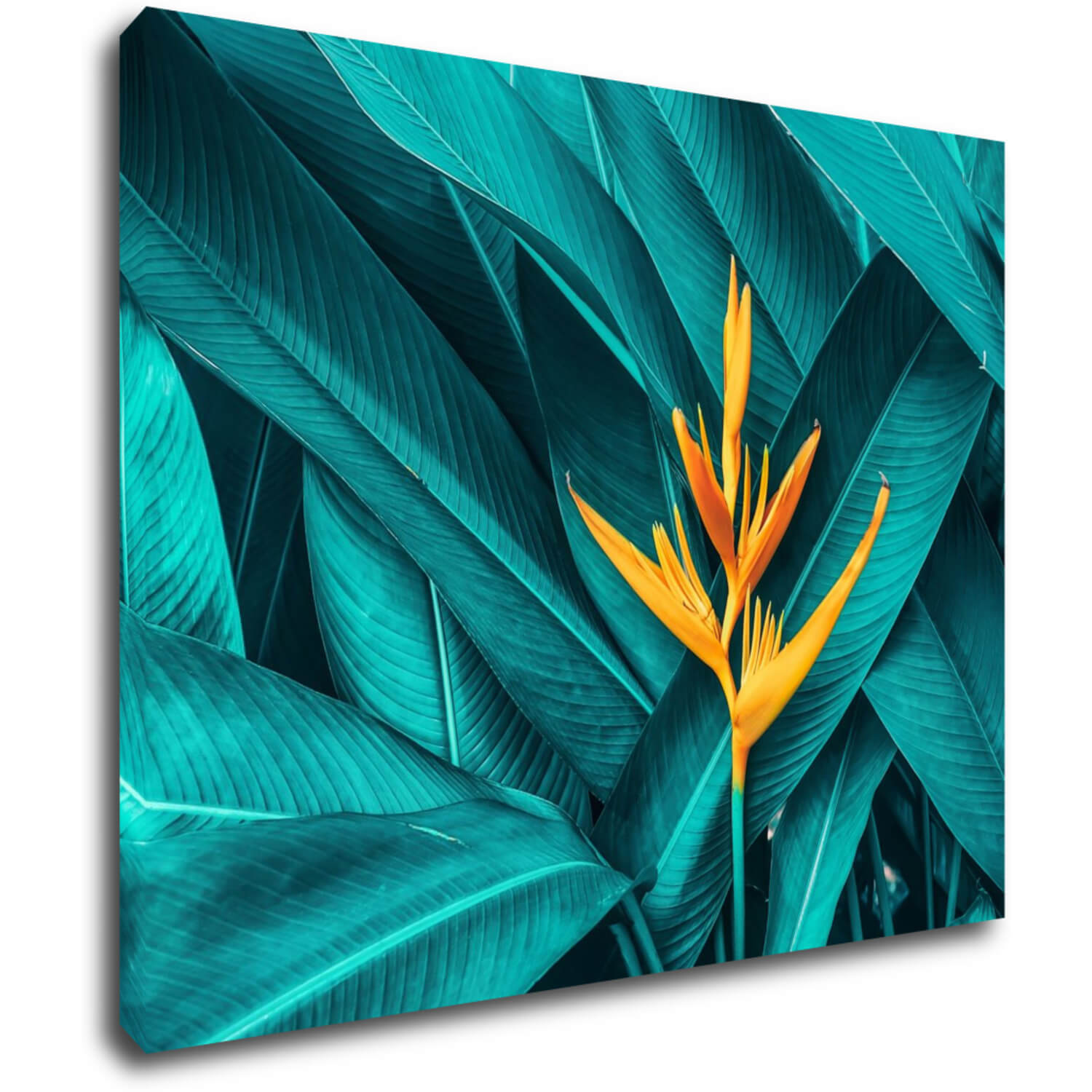 Bild Orange blossom - 90 x 70 cm