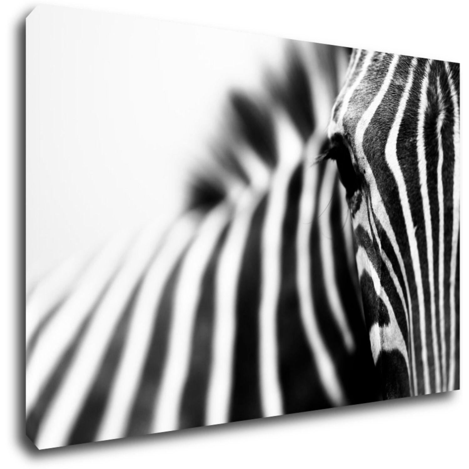 Bild Zebra detail - 60 x 40 cm