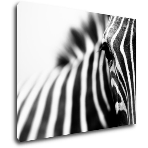 Bild Zebra detail - 90 x 70 cm
