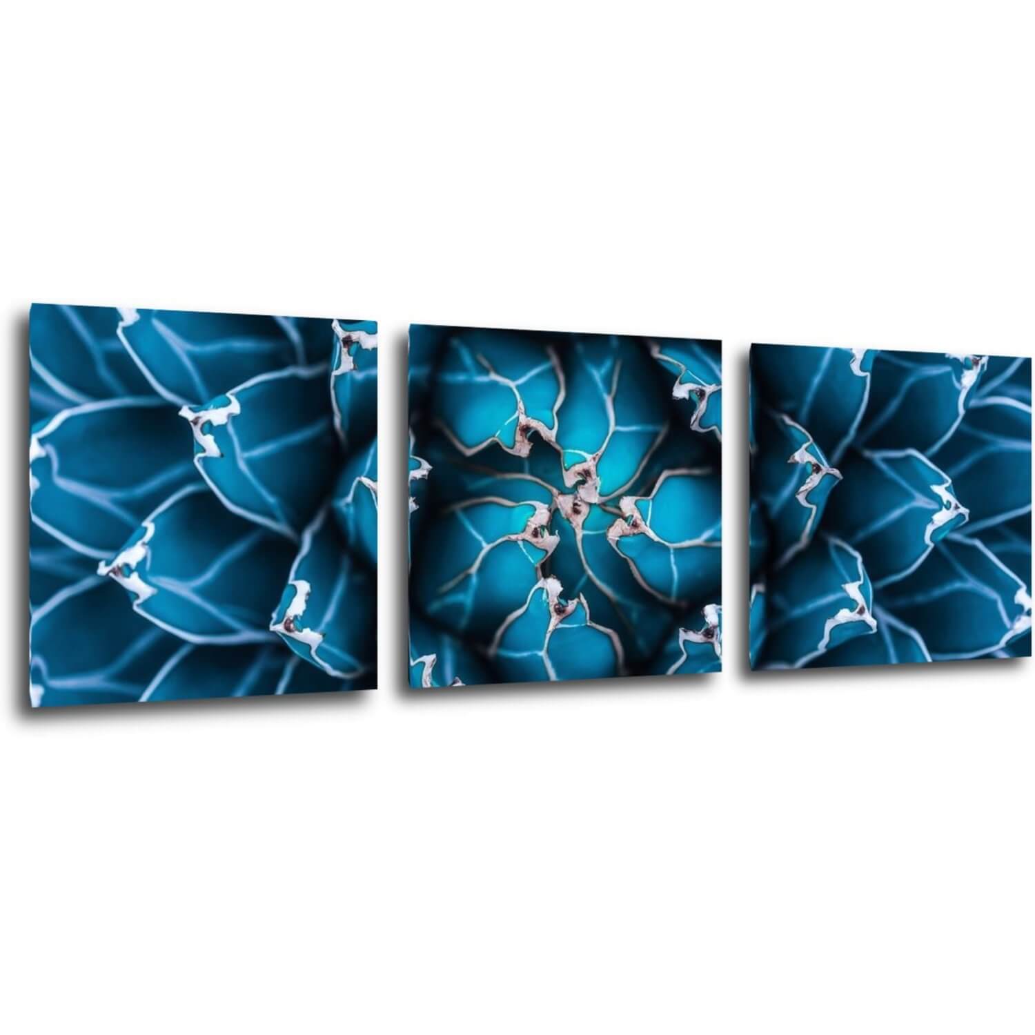 Bild Blue blossom - 90 x 30 cm (3-teiliges)