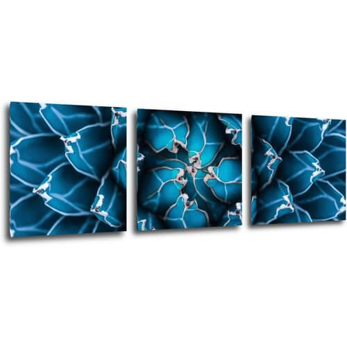 Bild Blue blossom - 90 x 30 cm (3-teiliges)