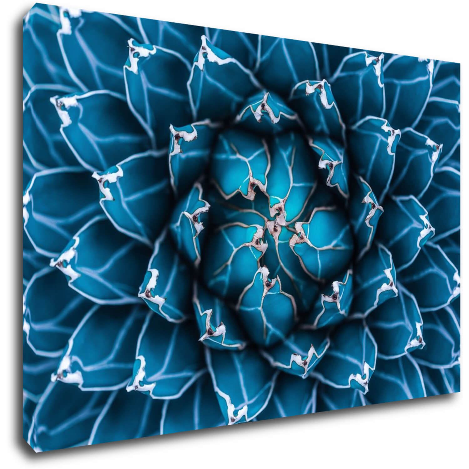 Bild Blue blossom - 90 x 60 cm