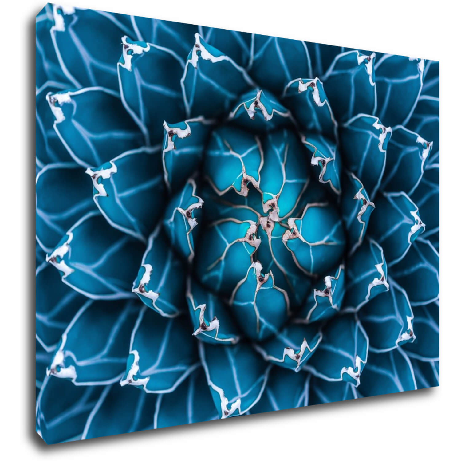 Bild Blue blossom - 70 x 50 cm