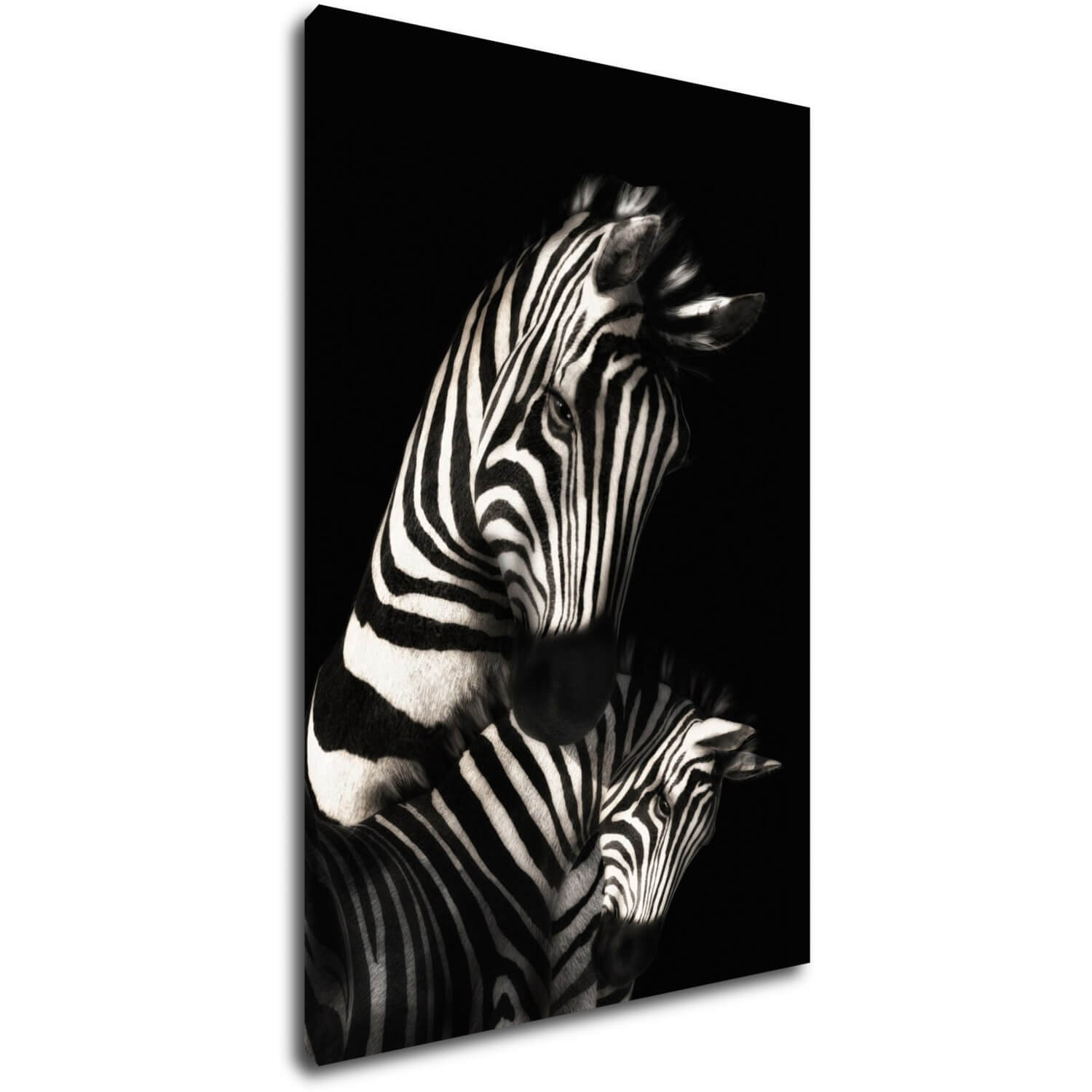 Bild Zebras black and white - 60 x 90 cm