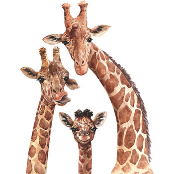 Wandaufkleber für das Kinderzimmer Cute giraffes - 60x40cm